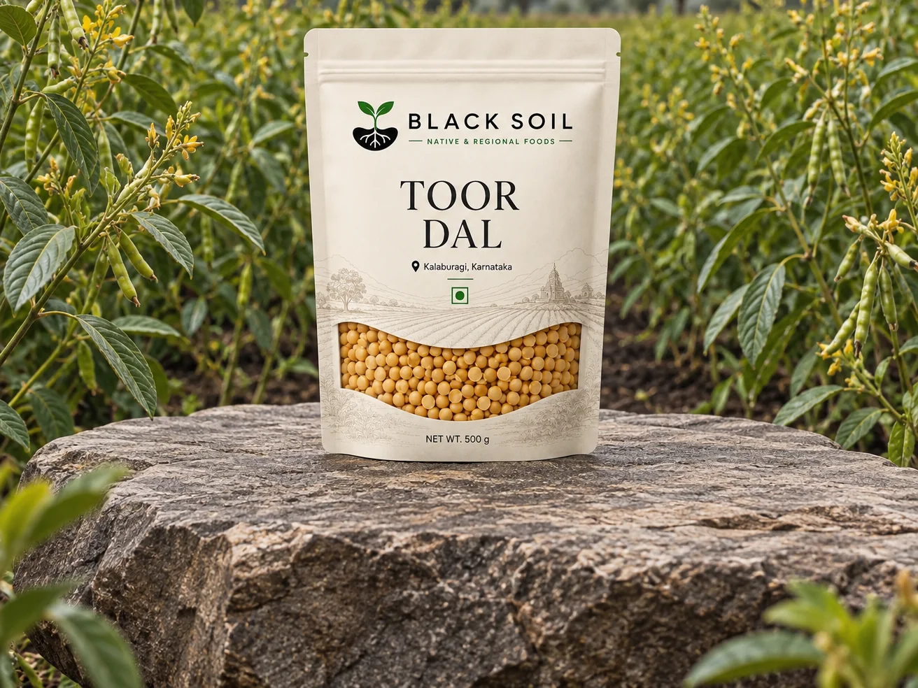A pack of Black Soil Toor Dal on a stone in the tur dal fields near Kalaburagi